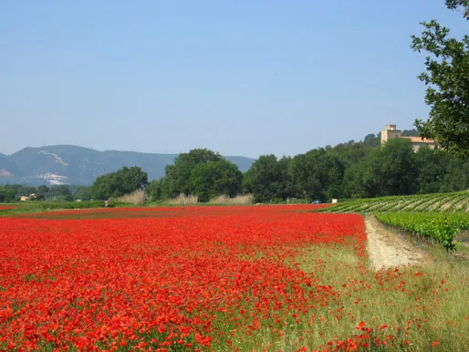 Parc du Lubéron